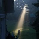 Doggy from the heaven